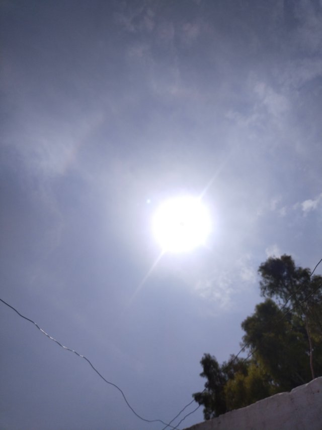 IMG_20250717_140923.jpg