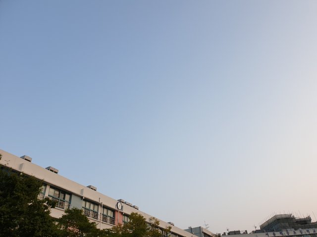 20190820_060446.jpg