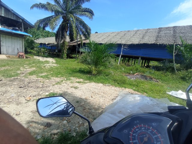 IMG_20250401_143256.jpg