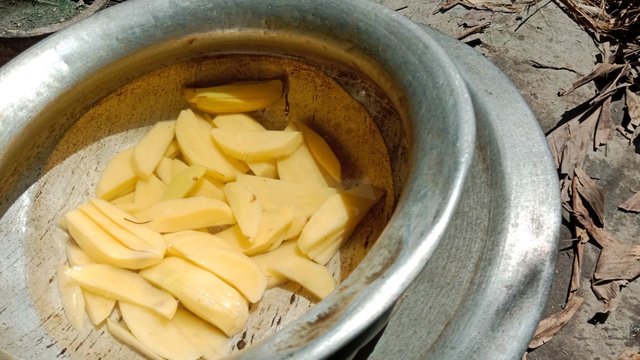 IMG_20250819_072705_274.jpg