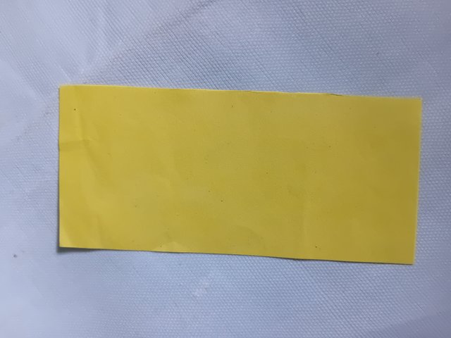 1000043662.jpg