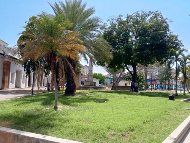 IMG_20250714_143356_701.jpg