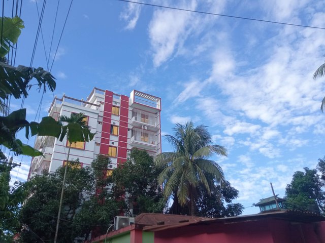 নেচার (3).jpg