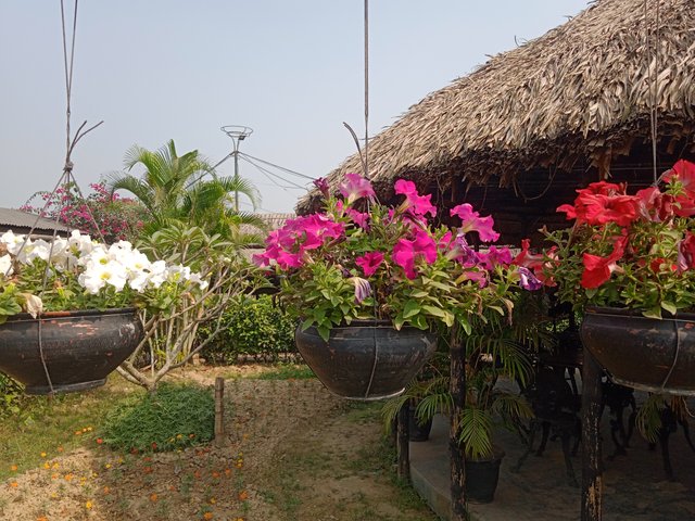IMG_20241229_124544_1.jpg