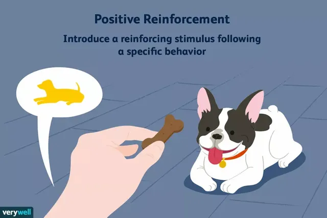 what-is-positive-reinforcement-2795412-5b4e2ffec9e77c003ec7cc63.webp