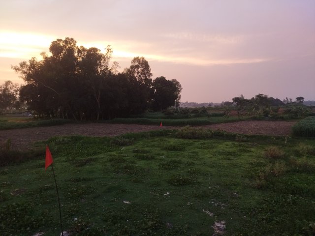 IMG_20250614_185233.jpg