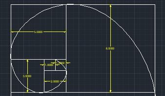 fibonacci spiral 2.JPG