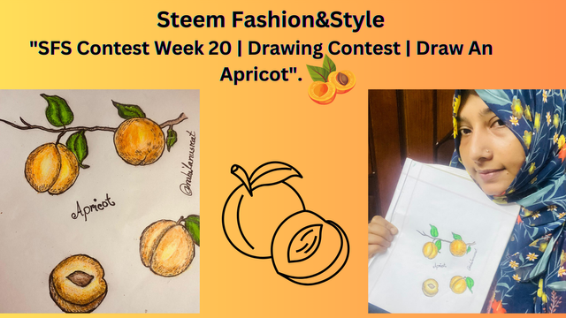 SFS Contest Week 20  Drawing Contest  Draw An Apricot..png