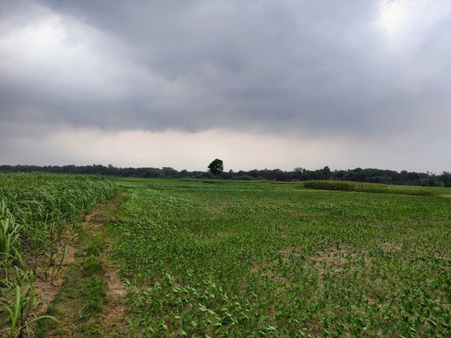 1000203091.jpg