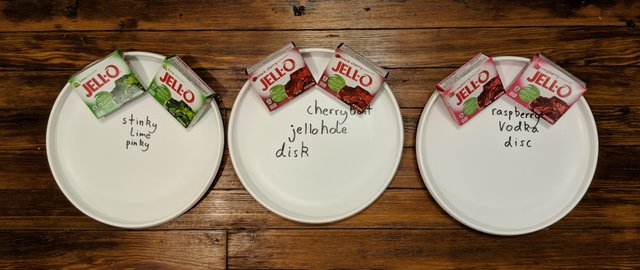 Empty Jello Discs with Jell-O packets