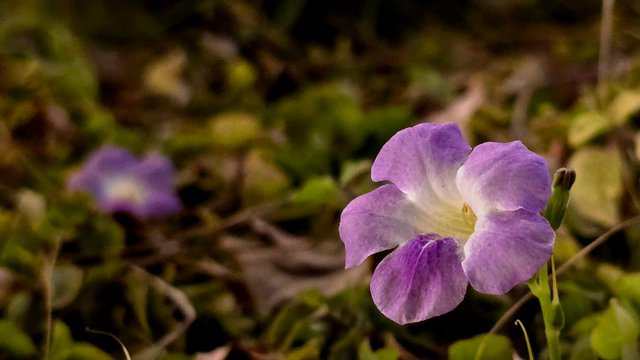 20250330_220122.jpg