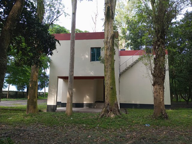 IMG_20250829_172643_861.jpg