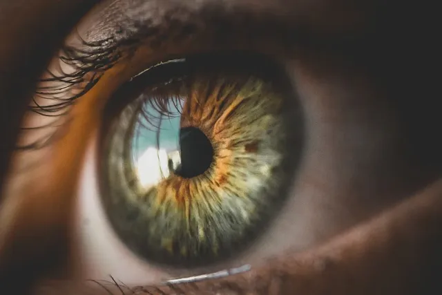 eyes-5248678_960_720.webp