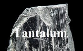 tantalum market.jpg