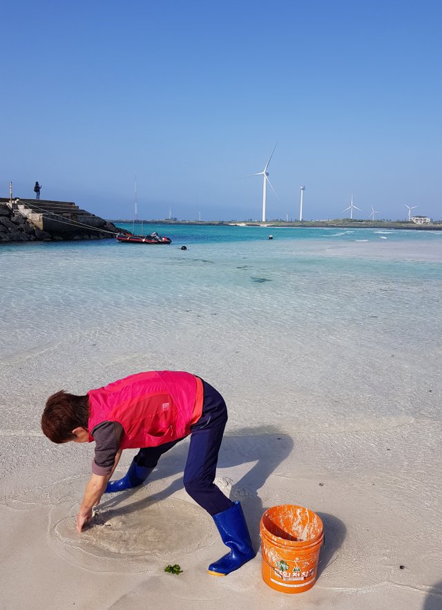 20180713_153442.jpg