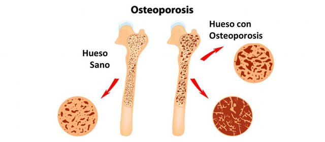 nutrisaresize-grande-1024x450.jpg