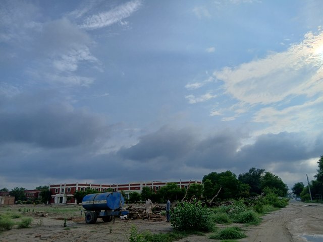 1000062791.jpg