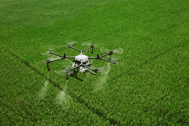 dji-4223416_1280.jpg