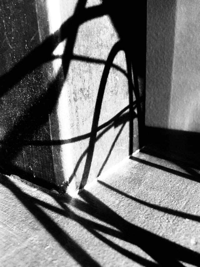 sombra-2.jpg