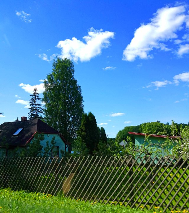 Beautiful sunny day and wood fence  Photography in Steemit Blog