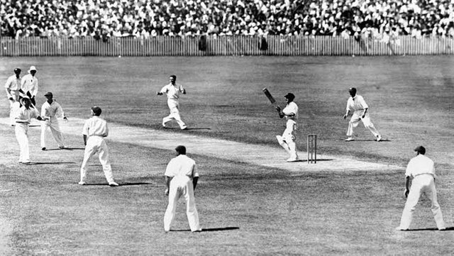 A Brief History of Cricket.jpg