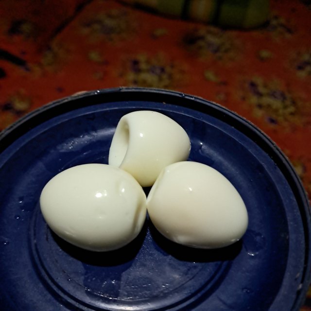1000033059.jpg