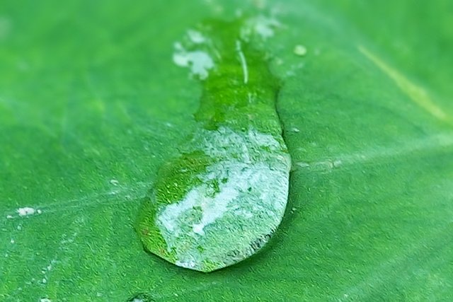 20250722_141623~2.jpg