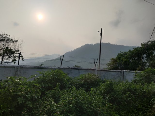 IMG_20250609_162910.jpg