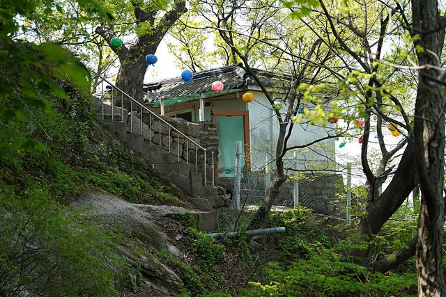DSC08160.JPG