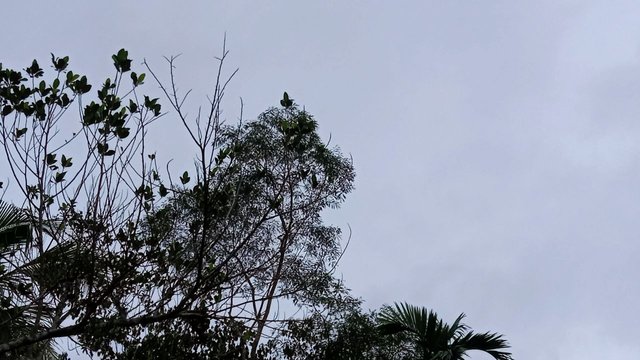 IMG_20250619_101838_106.jpg