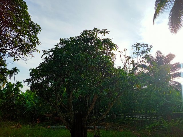 IMG20250822074400.jpg