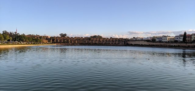 IMG_20191116_174227.jpg