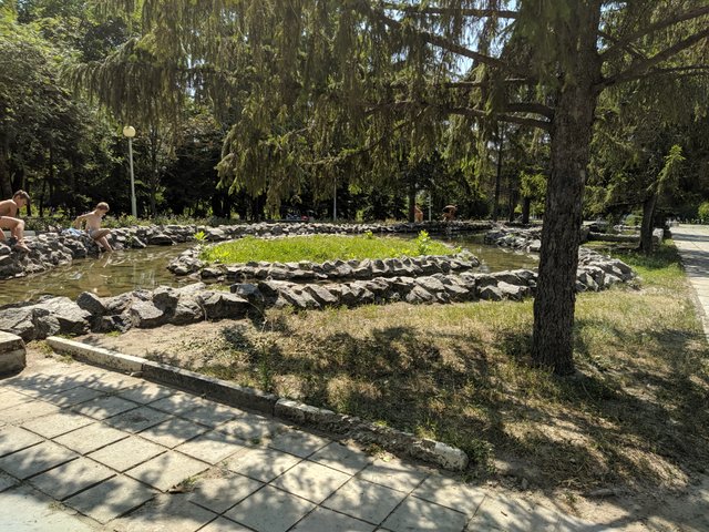 IMG_20210727_140154.jpg