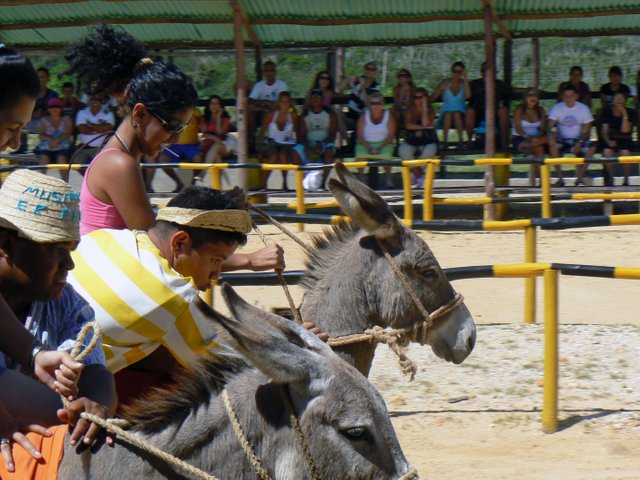 Burródromo.jpg