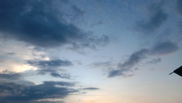 IMG_20250429_183054.jpg