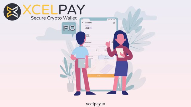 Payment Solution with XcelPay Wallet.jpeg