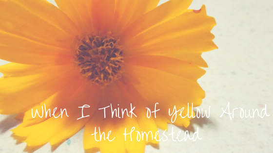 When I Think of Yellow Around the Homestead (1).png