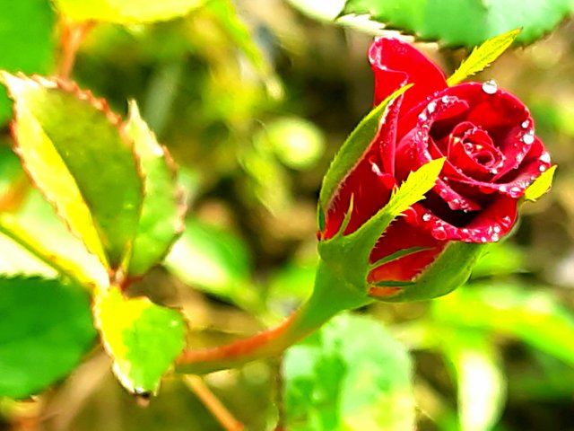 20210310_200400.jpg