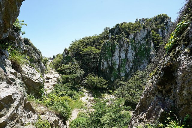 b-DSC08081.JPG