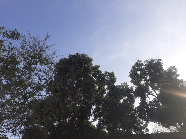 20250324_173448.jpg
