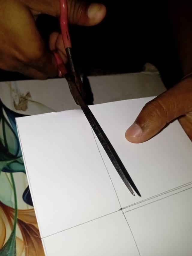 1000049539.jpg