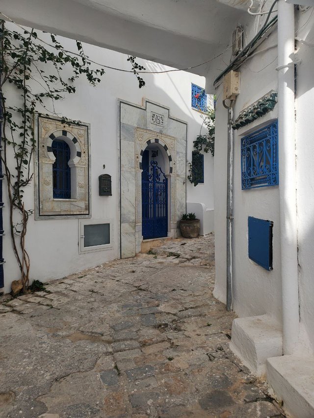 une de ruelle de sidi bou.jpg