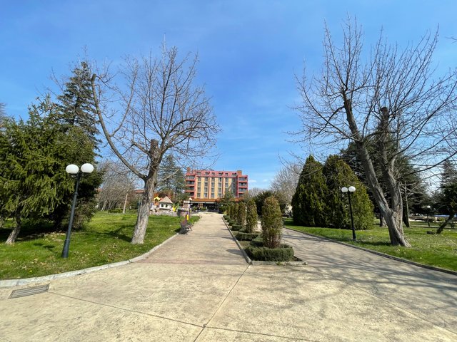 IMG_5205.jpeg
