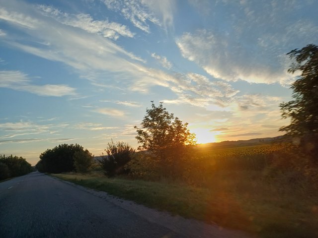 20250725_053918.jpg