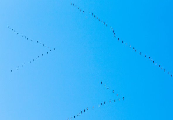 mysteriöse Flugformation
