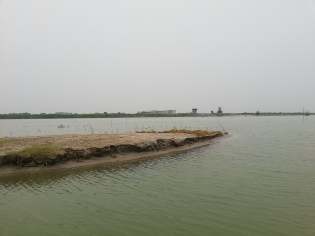 IMG_20230607_130643.jpg