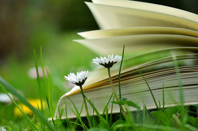 book-read-relax-meadow-preview.jpg