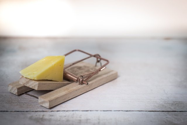 mouse-trap-cheese-device-trap-633881.jpg