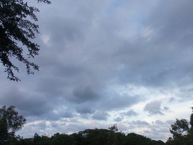 IMG20250821181021.jpg