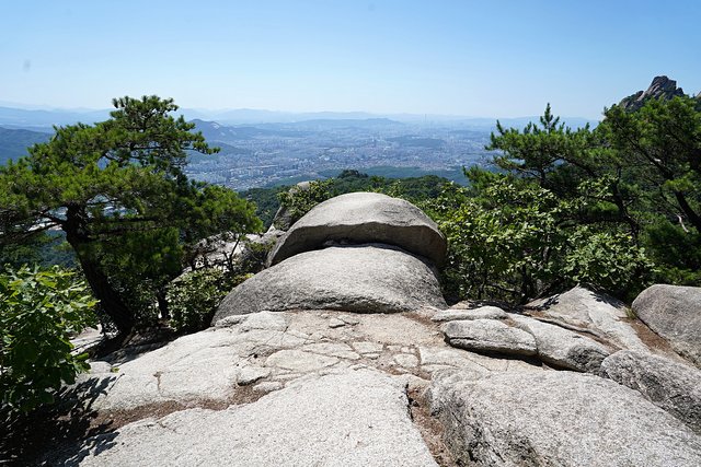 b-DSC08954.JPG